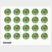 Coccinelle sur une brin d'herbe Autocollant (Feuille)