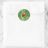 Coccinelle sur une brin d'herbe Autocollant (Sac)