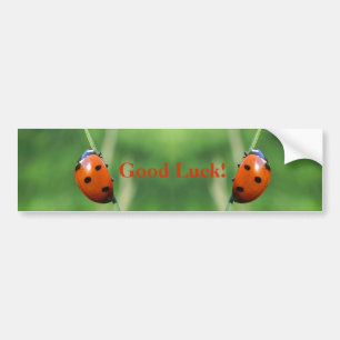 Coccinelle sur une brin d'herbe Autocollants