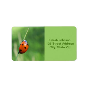 Coccinelle sur une brin d'herbe  Étiquettes
