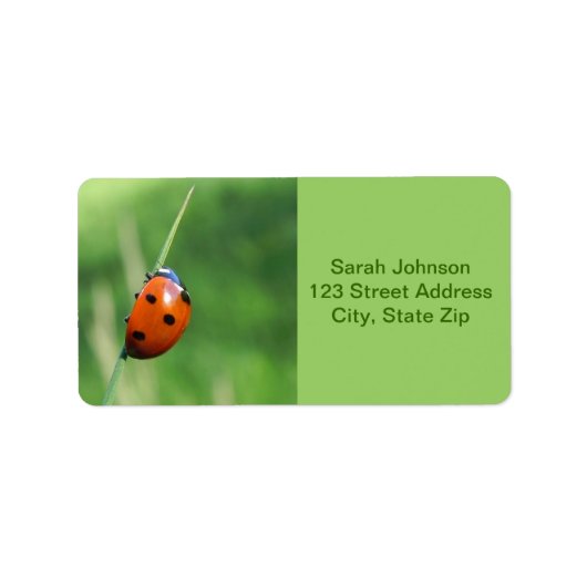 Coccinelle sur une brin d'herbe  Étiquettes (Devant)