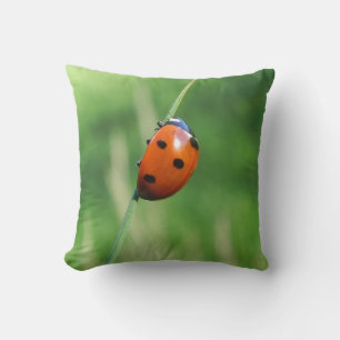 Coccinelle sur une brin d'herbe Oreiller