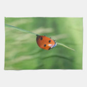 Coccinelle sur une brin d'herbe Torchons de cuisin (Horizontal)