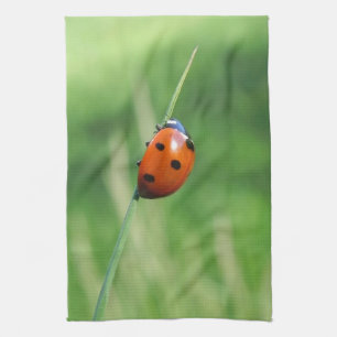 Coccinelle sur une brin d'herbe Torchons de cuisin