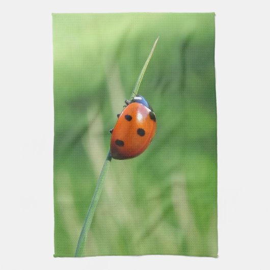 Coccinelle sur une brin d'herbe Torchons de cuisin (Vertical)