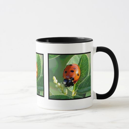 Coccinelle, tasse de ~ de coccinelle (Droite)