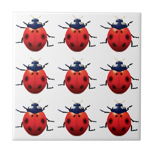 Coccinelles Carreau
