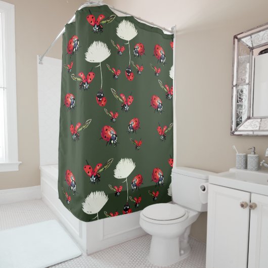 Coccinelles, rideau en douche d'insectes de (En situation)