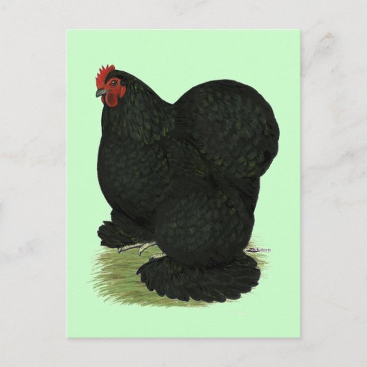 Cochin:  Black Hen Briefkaart (Voorkant)
