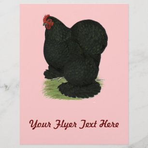Cochin: Black Hen Flyer