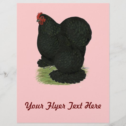 Cochin: Black Hen Flyer (Voorkant)