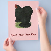 Cochin: Black Hen Flyer (Hand)