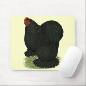 Cochin: Black Hen Muismat (Met muis)