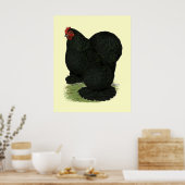 Cochin: Black Hen Poster (Keuken)