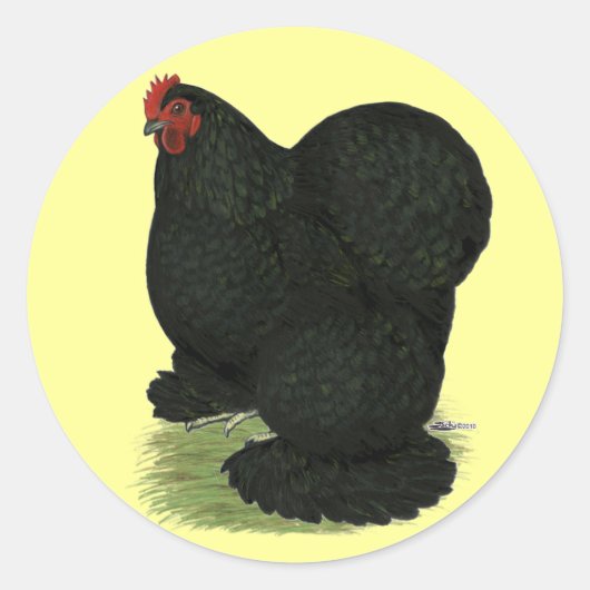 Cochin: Black Hen Ronde Sticker (Voorkant)