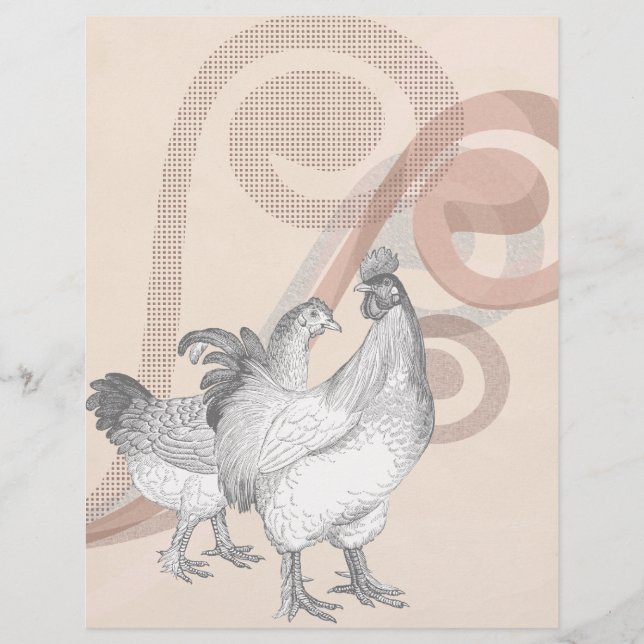  Cochin Chickens (Voorkant)