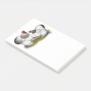 Cochin Columbian Bantams Post-it® Notes