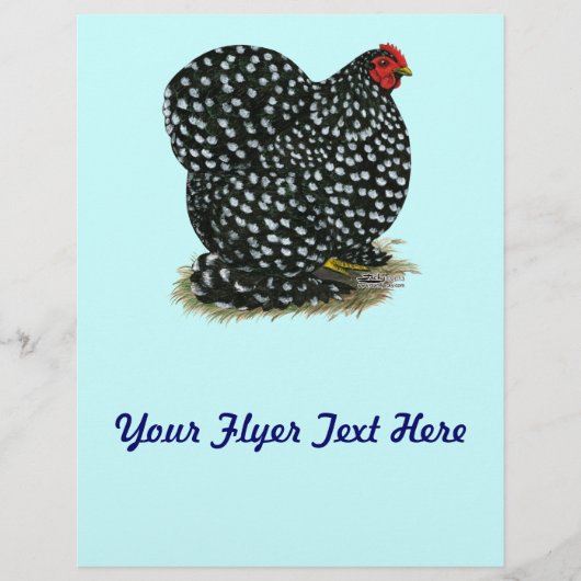 Cochin gemengde hen flyer (Voorkant)