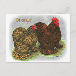 Cochin:  Golden-laced2 Briefkaart