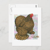 Cochin:  Goudlaced Hen Briefkaart (Voorkant / Achterkant)