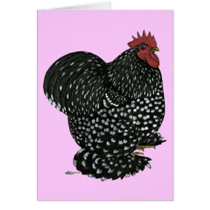 Cochin : Motte noire