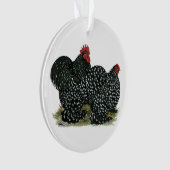 Cochin Mottled (devant)