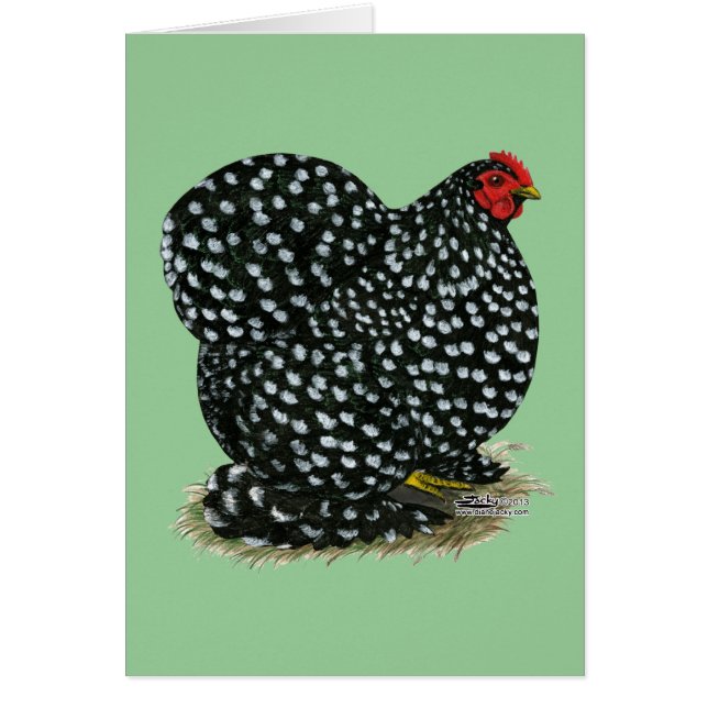 Cochin Mottled Hen (Voorkant)