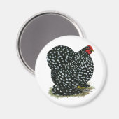 Cochin Mottled Hen Magneet (Voorkant / Achterkant)