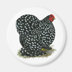 Cochin Mottled Hen Magneet