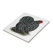 Cochin Mottled Hen Tegeltje (Zijkant)