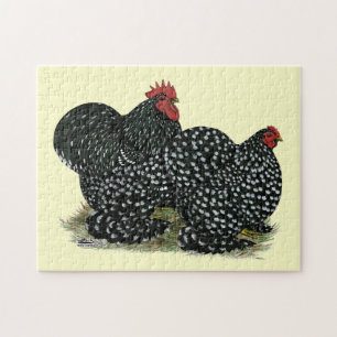 Cochin Mottled kippen Legpuzzel