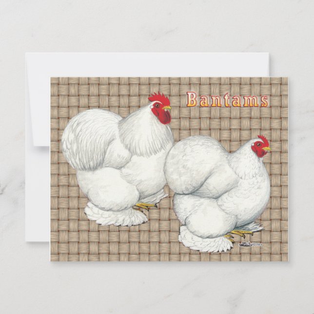 Cochin: witte balken (Voorkant)