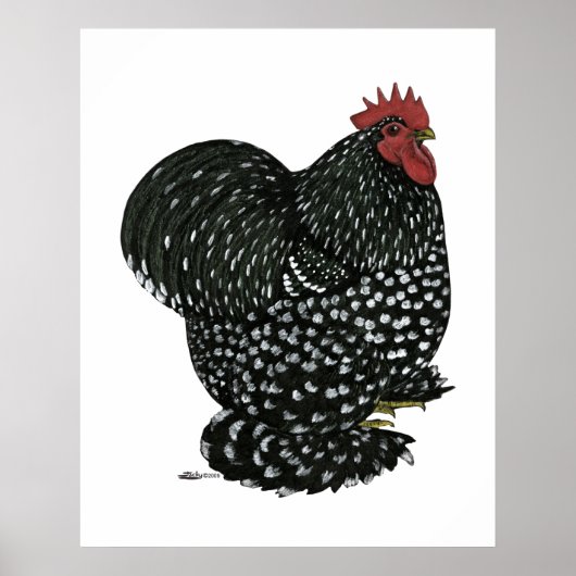 Cochin: Zwarte Mottle Poster (Voorkant)