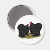 Cochins Black Bantam Pair Magneet (Voorkant / Achterkant)