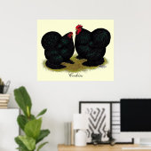 Cochins Black Bantam Pair Poster (Thuiskantoor)