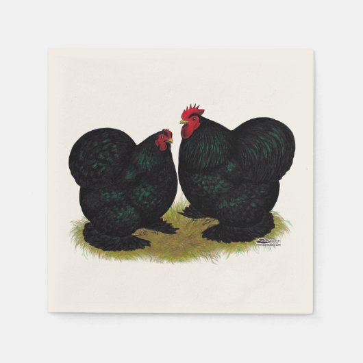 Cochins Black Bantam Pair Servetten (Voorkant)