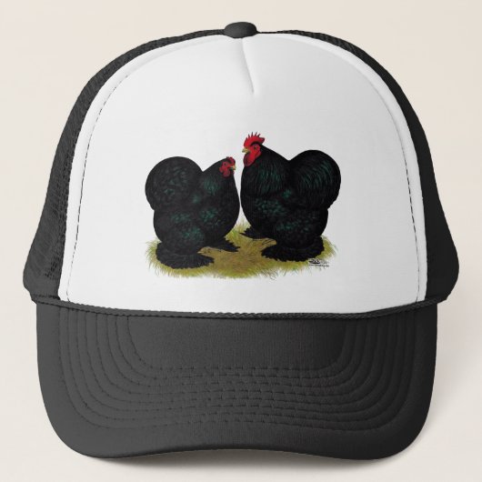 Cochins Black Bantam Pair Trucker Pet (Voorkant)