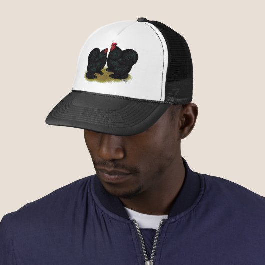 Cochins Black Bantam Pair Trucker Pet (In situ)