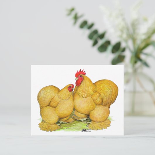 Cochins Buff Pair Briefkaart (Staand voorkant)
