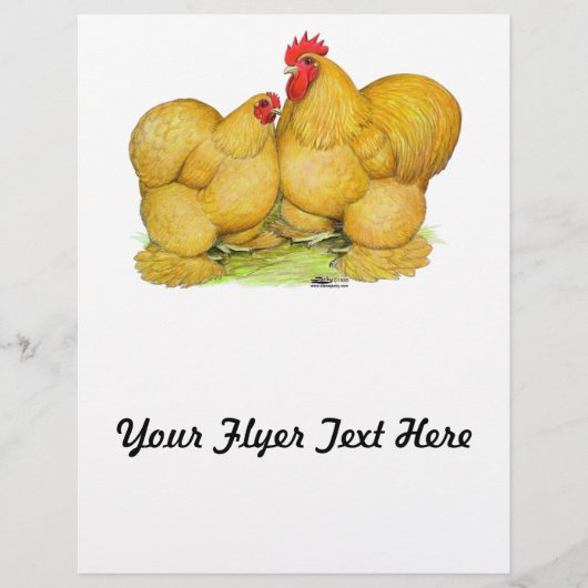 Cochins Buff Pair Flyer (Voorkant)