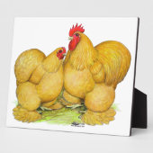 Cochins Buff Pair Fotoplaat (Zijkant)