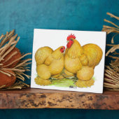 Cochins Buff Pair Fotoplaat (Zijkant)