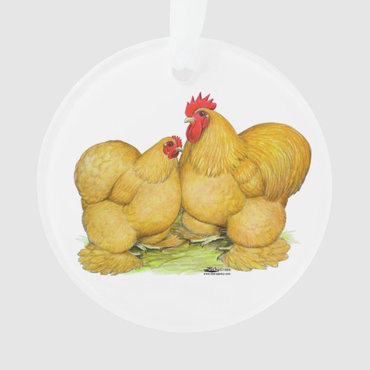 Cochins Buff Pair Ornament (voorkant)