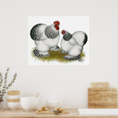 Cochins: Columbiaanse balken Poster (Keuken)