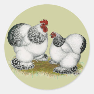 Cochins: Columbiaanse balken Ronde Sticker