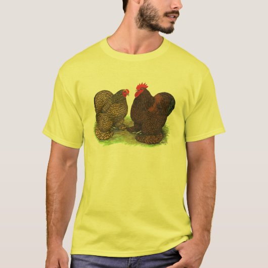 Cochins: Golden-laced T-shirt (Voorkant)