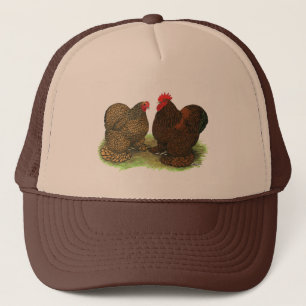 Cochins: Golden-laced Trucker Pet