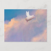 cochon avec ailes carte postale (Devant)