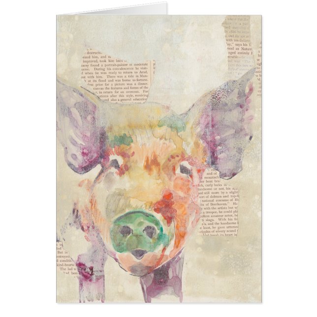 Cochon de collier de la ferme (Devant)