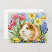 Cochon de Guinée mignonne avec carte postale Fleur (Devant / Derrière)